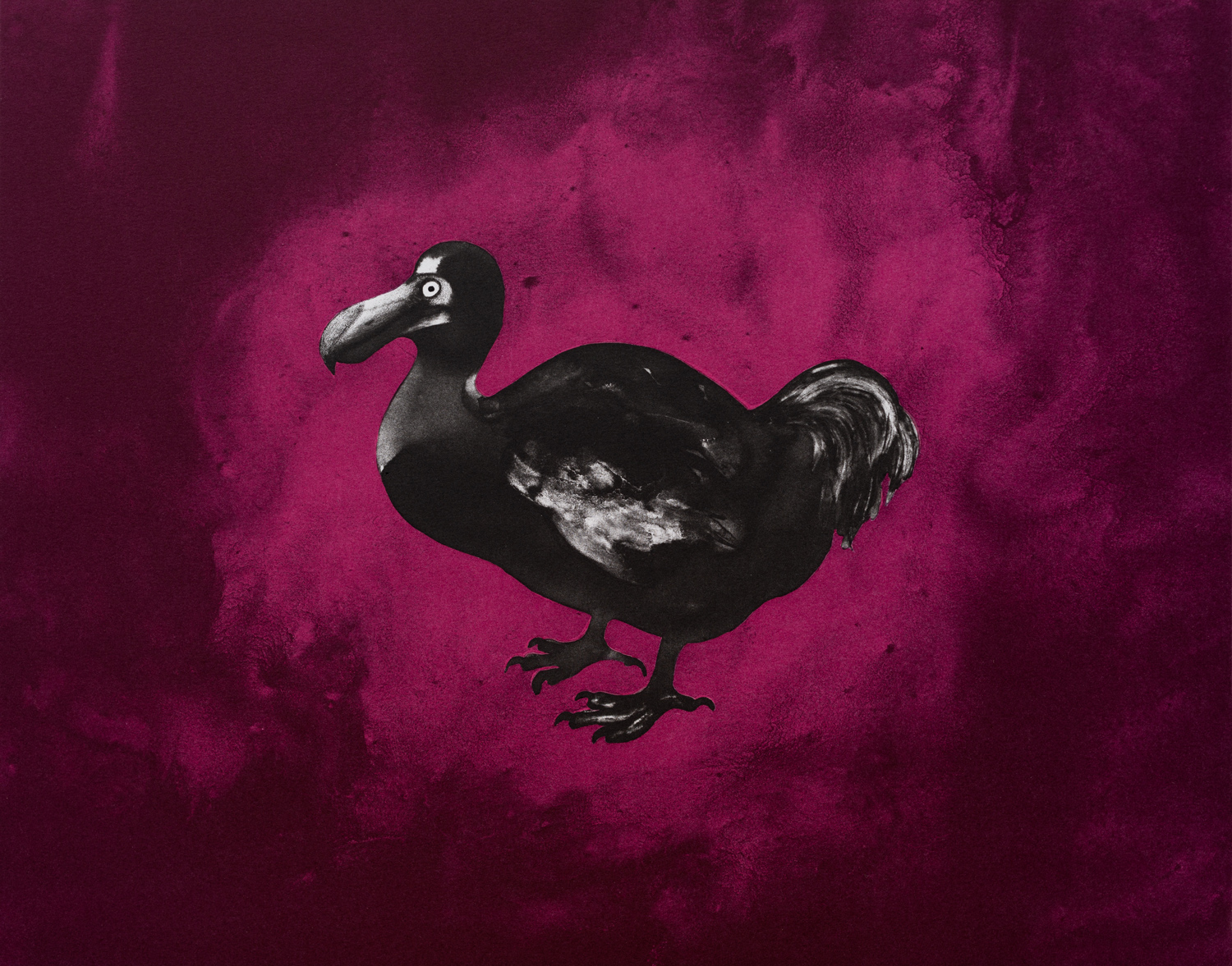 Roelants dodo Two Colour lithograph 41 x 48 cm, Edition of 10, 2018